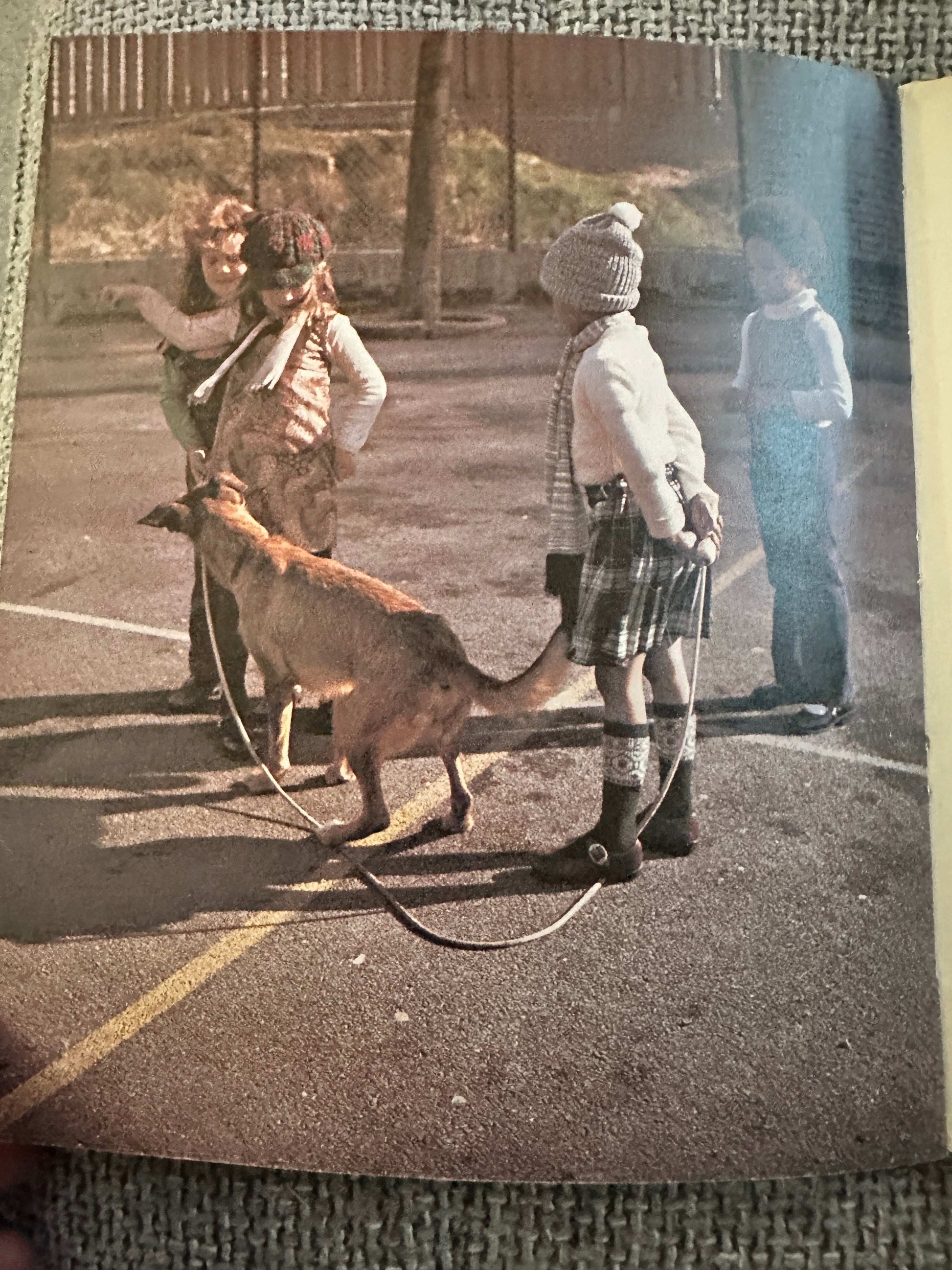1978*1st* Spud Comes To Play - Joan Solomon (Richard Harvey Photographs) Hamish Hamilton