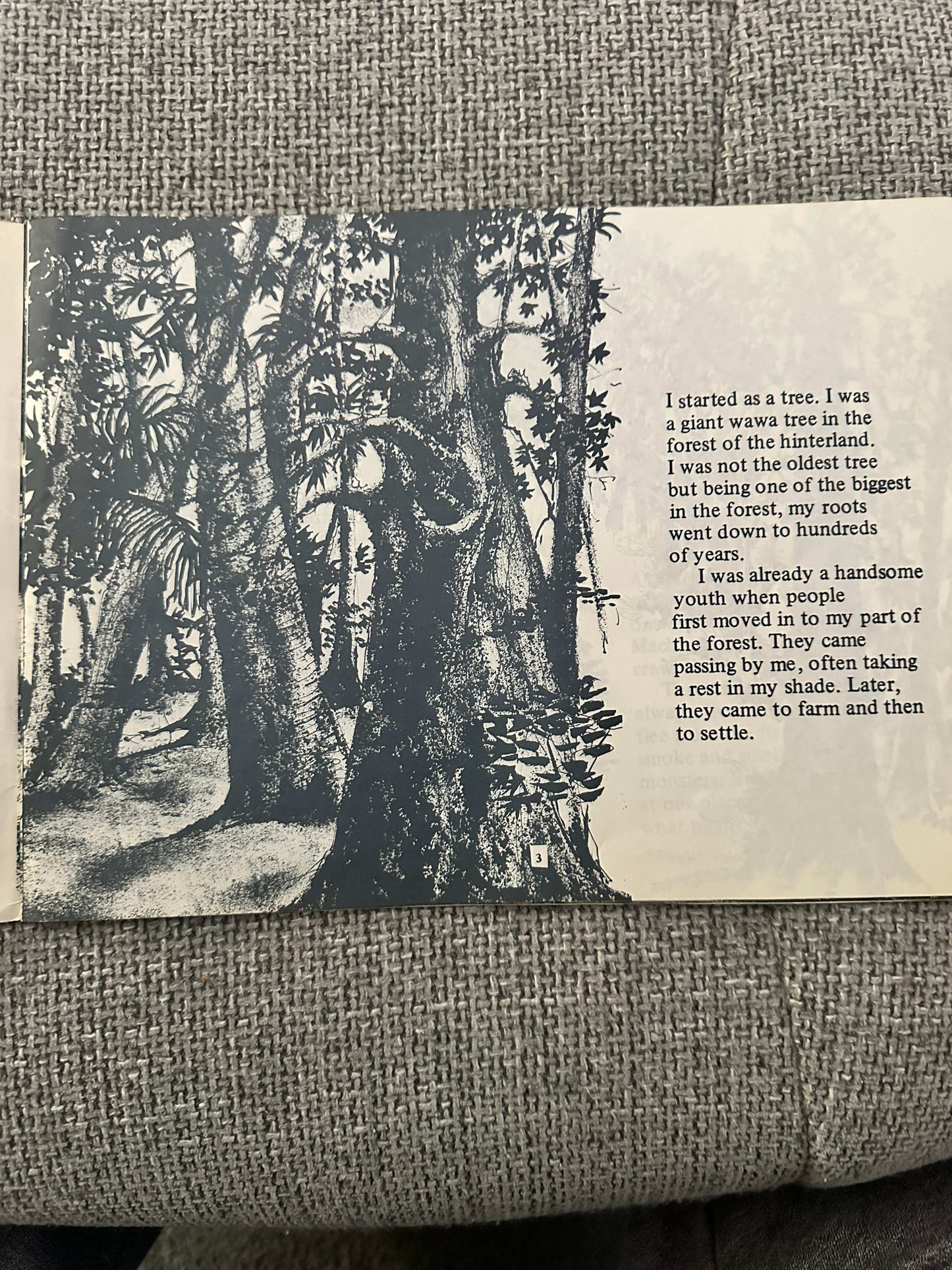 1982*1st* The Canoe’s Story - Meshack Asare (Miracle Bookhouse Ltd. Ghana 🇬🇭