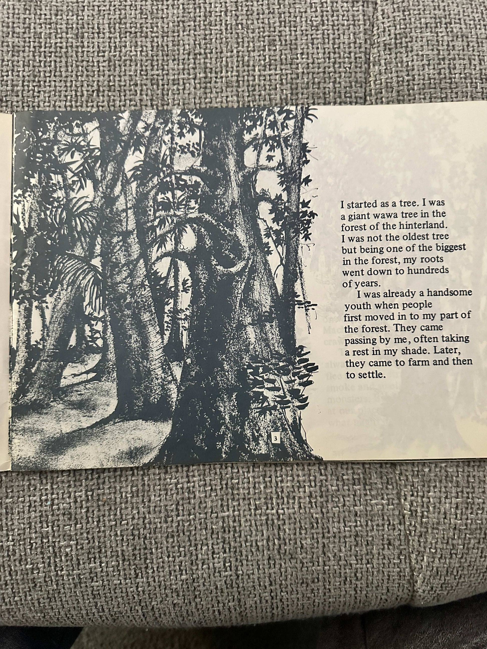 1982*1st* The Canoe’s Story - Meshack Asare (Miracle Bookhouse Ltd. Ghana 🇬🇭