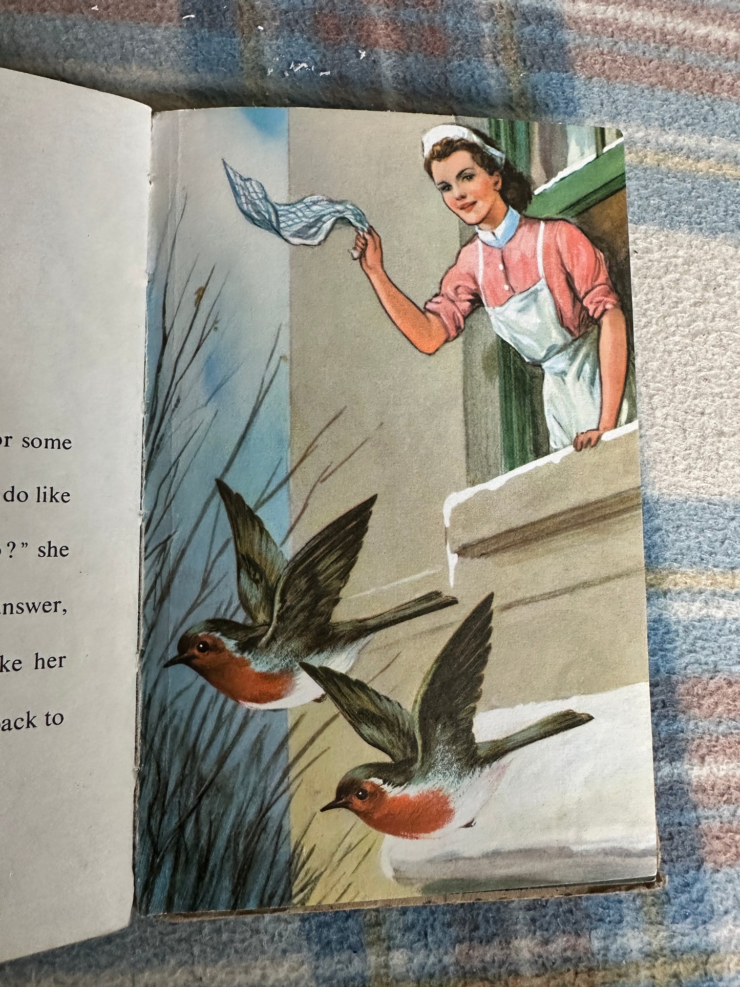 1950’s The Wise Robin(Series 497 Ladybird) Noel Barr(P. B. Hickling Illust) Wills & Hepworth