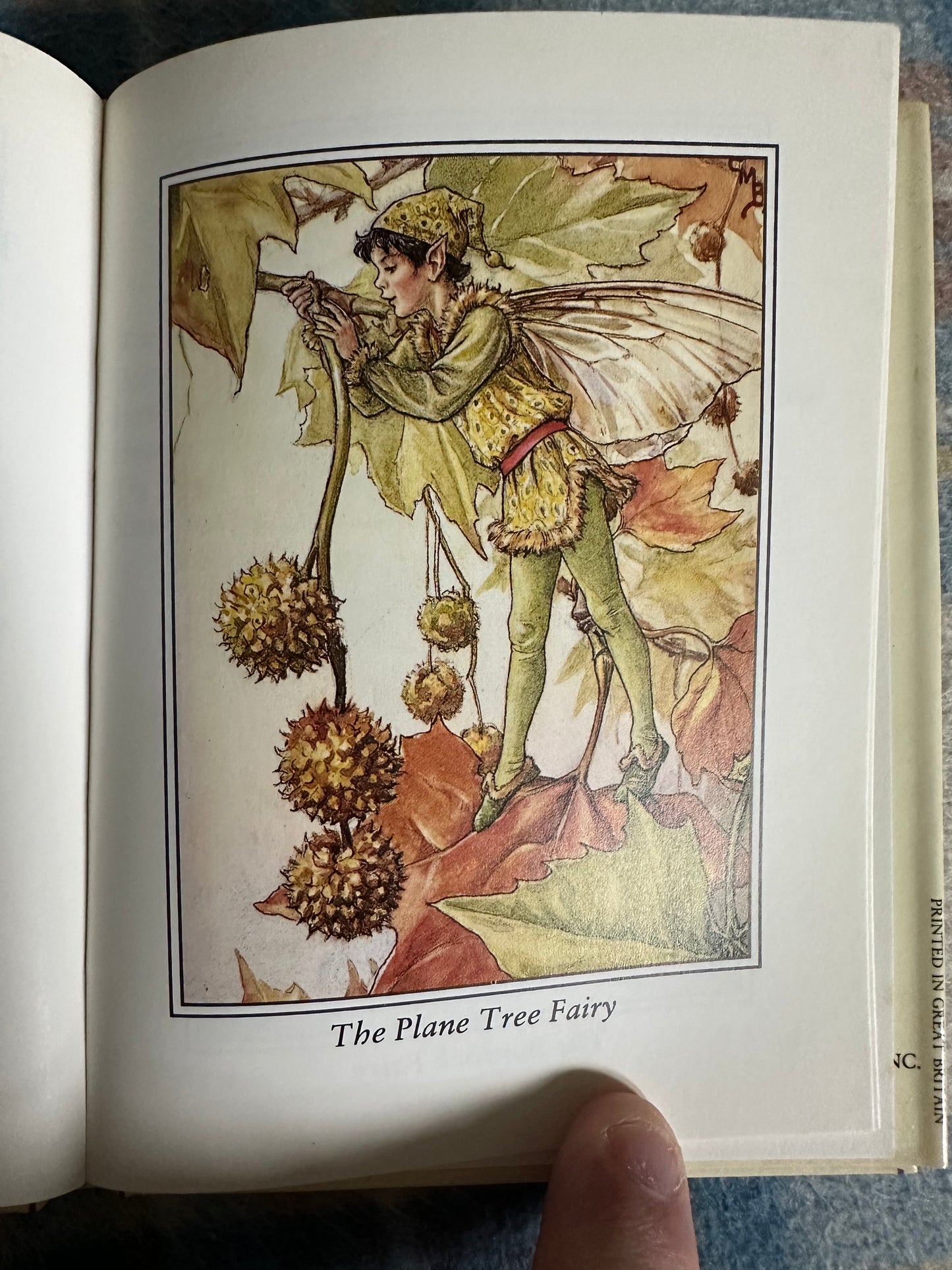 1990 Flower Fairies Of The Winter - Cicely Mary Barker(Frederick Warne & Co Ltd)
