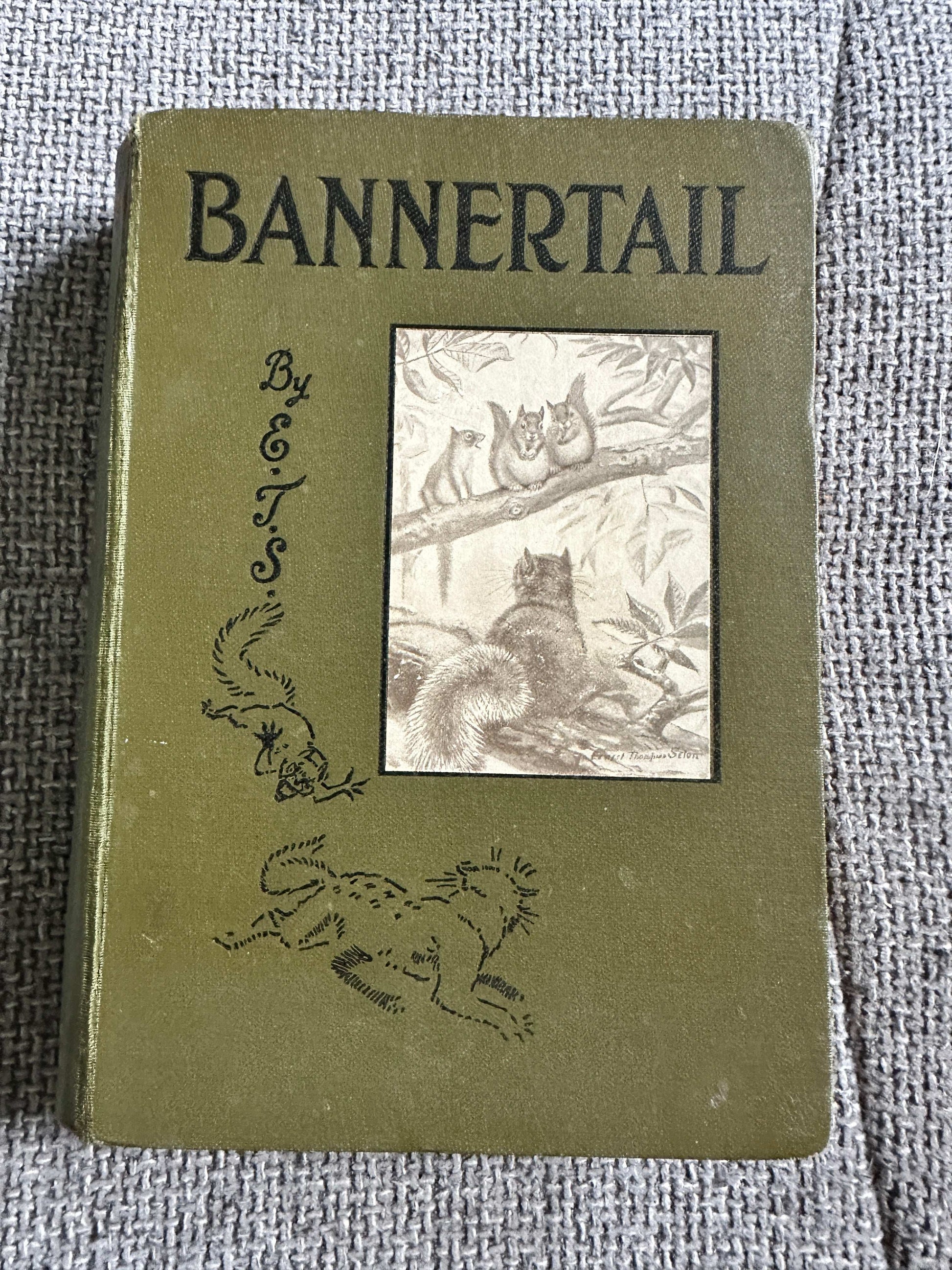 1922*1st* Bannertail The Story Of A Grey Squirrel - Ernest Thompson Seton (Hodder and Stoughton)