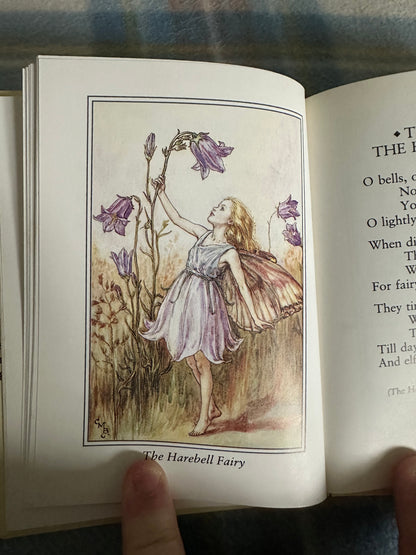 1990 Flower Fairies Of The Summer - Cicely Mary Barker(Frederick Warne & Co Ltd