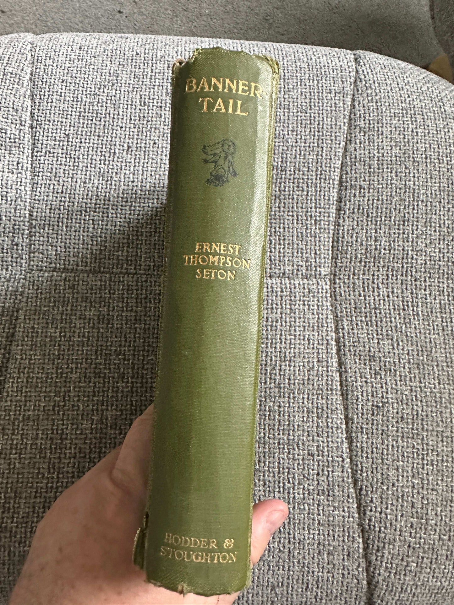 1922*1st* Bannertail The Story Of A Grey Squirrel - Ernest Thompson Seton (Hodder and Stoughton)
