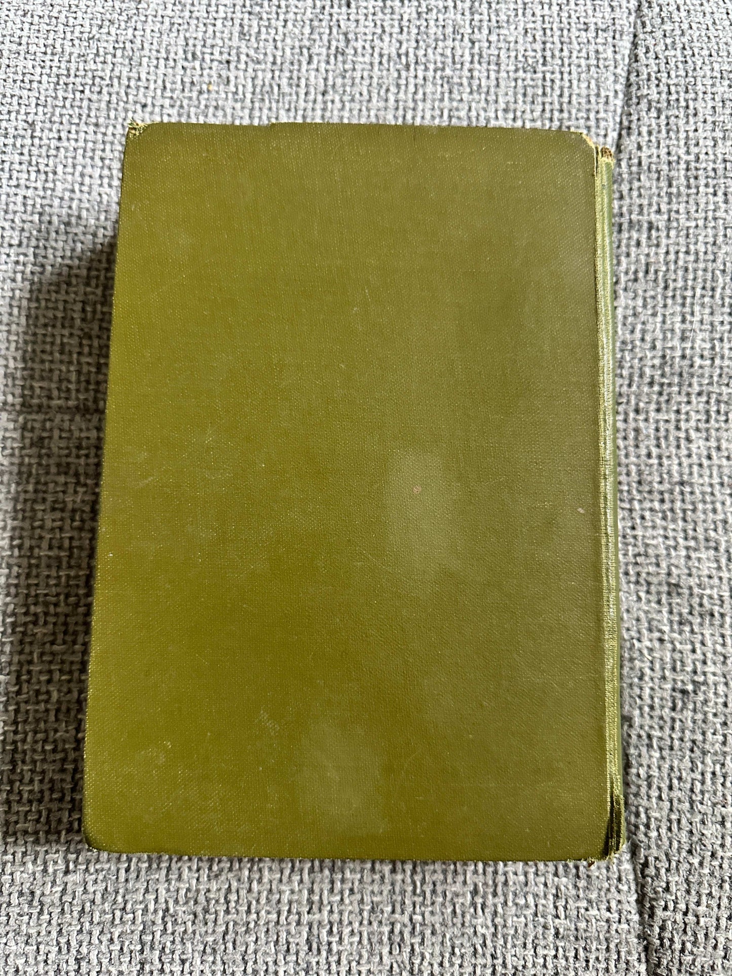 1922*1st* Bannertail The Story Of A Grey Squirrel - Ernest Thompson Seton (Hodder and Stoughton)