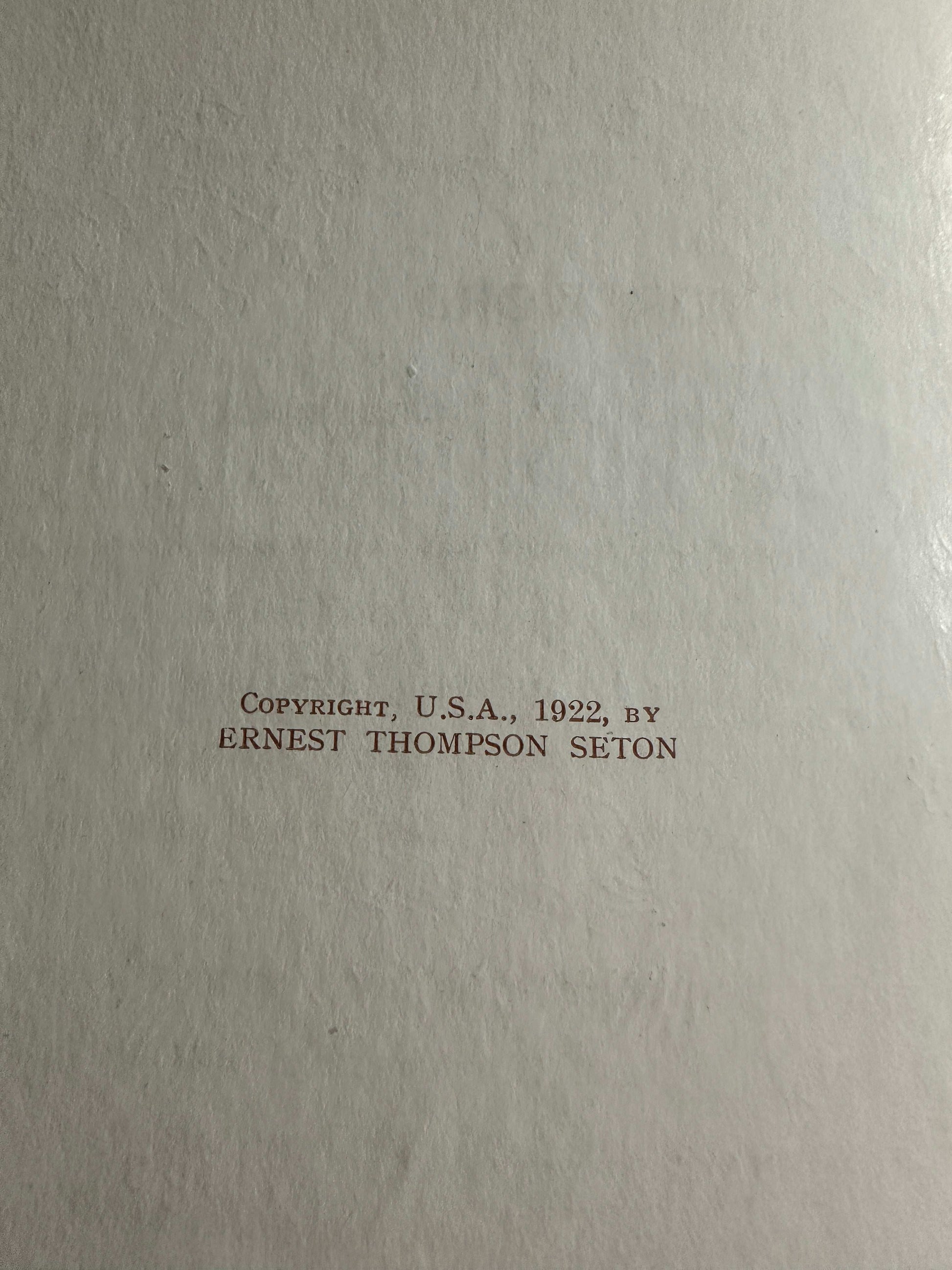 1922*1st* Bannertail The Story Of A Grey Squirrel - Ernest Thompson Seton (Hodder and Stoughton)