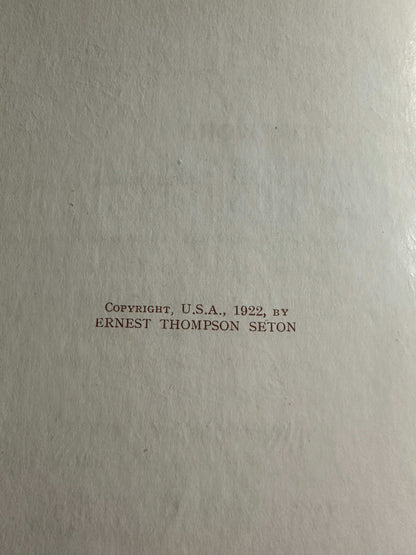 1922*1st* Bannertail The Story Of A Grey Squirrel - Ernest Thompson Seton (Hodder and Stoughton)