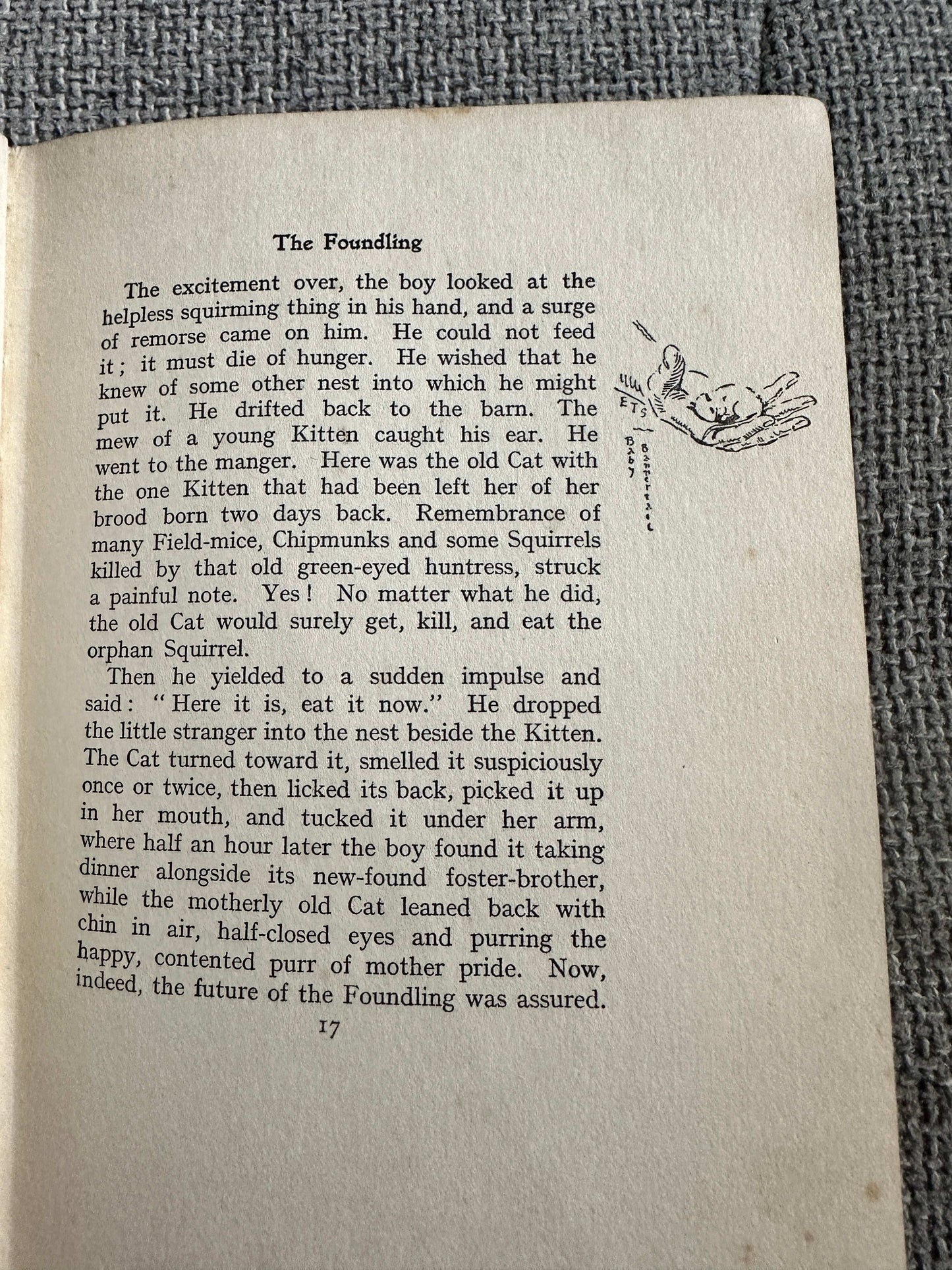 1922*1st* Bannertail The Story Of A Grey Squirrel - Ernest Thompson Seton (Hodder and Stoughton)