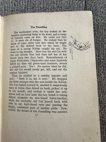 1922*1st* Bannertail The Story Of A Grey Squirrel - Ernest Thompson Seton (Hodder and Stoughton)