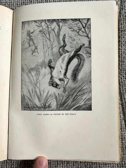 1922*1st* Bannertail The Story Of A Grey Squirrel - Ernest Thompson Seton (Hodder and Stoughton)