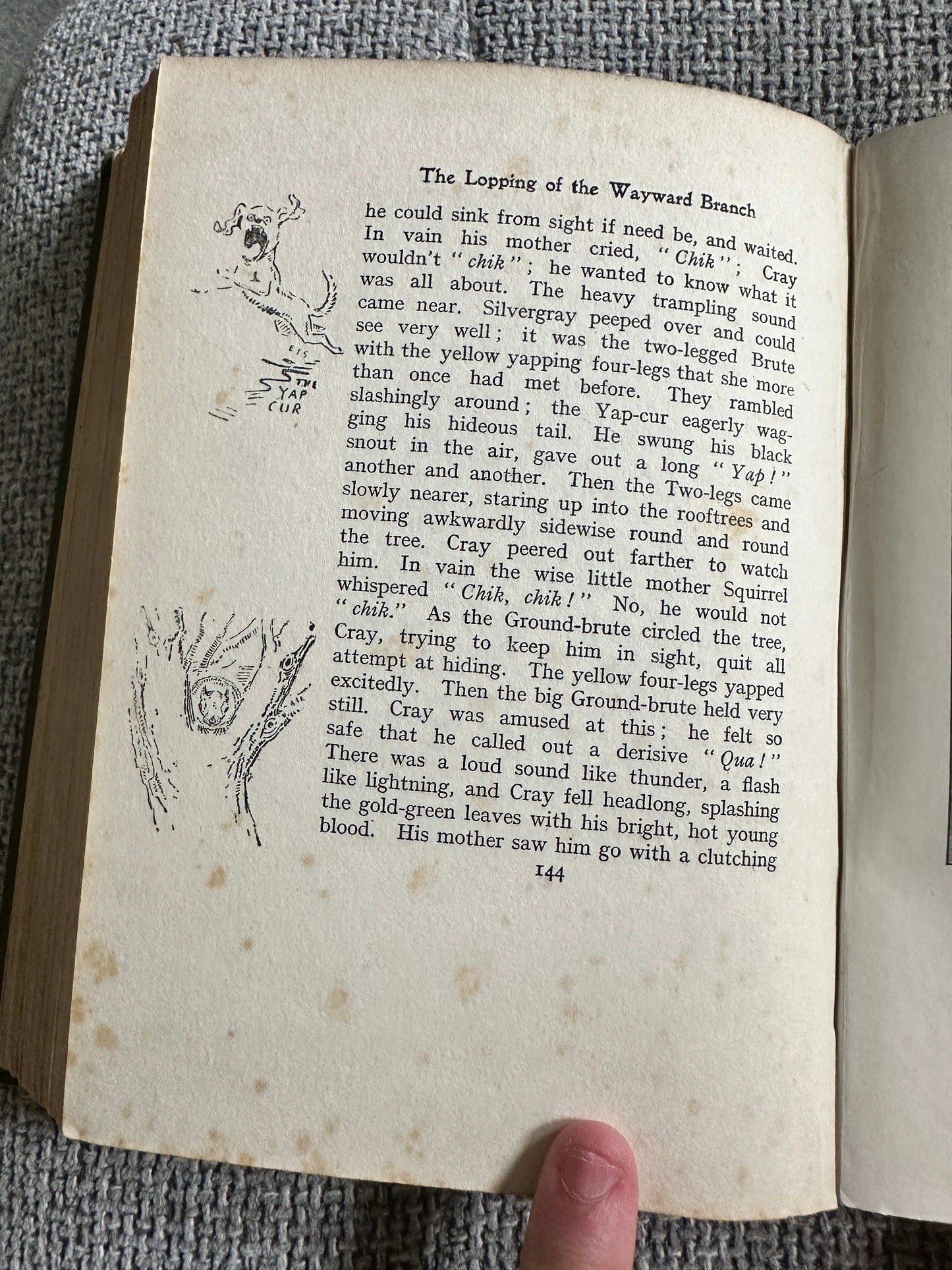 1922*1st* Bannertail The Story Of A Grey Squirrel - Ernest Thompson Seton (Hodder and Stoughton)