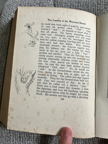 1922*1st* Bannertail The Story Of A Grey Squirrel - Ernest Thompson Seton (Hodder and Stoughton)