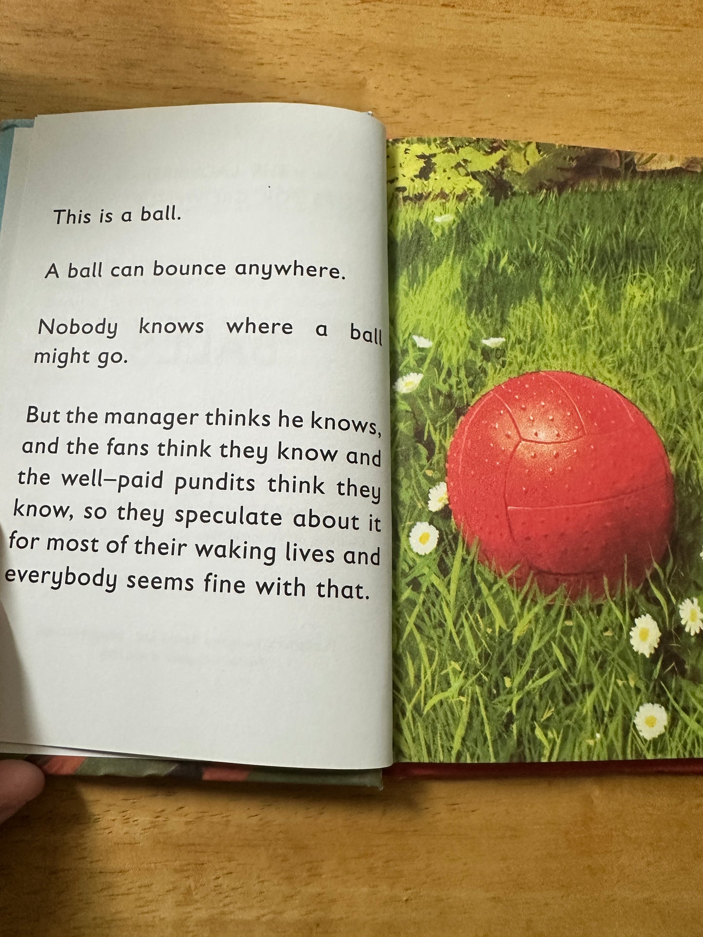 2017 The Ladybird Book Of Balls(Series 999) J.A. Hazeley & J. P. Morris (Ladybird Books)