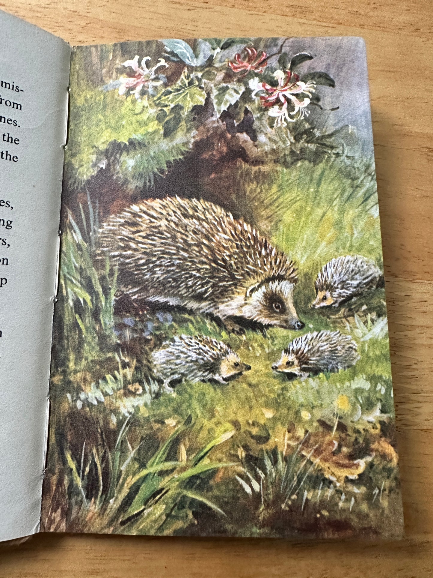 1958 British Wild Animals(Series 536 Ladybird) George Cansdale(Roland Green Illust) Wills & Hepworth