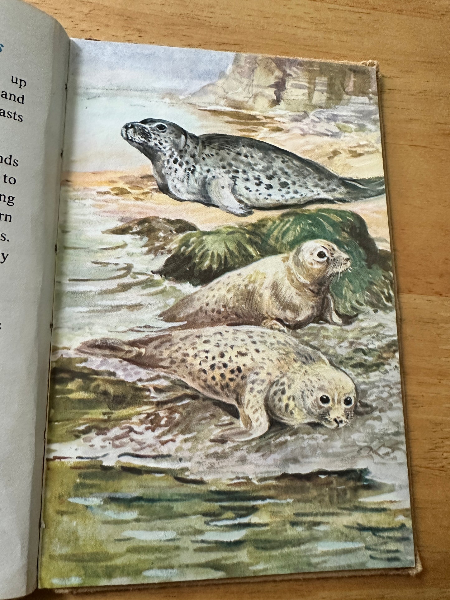 1958 British Wild Animals(Series 536 Ladybird) George Cansdale(Roland Green Illust) Wills & Hepworth