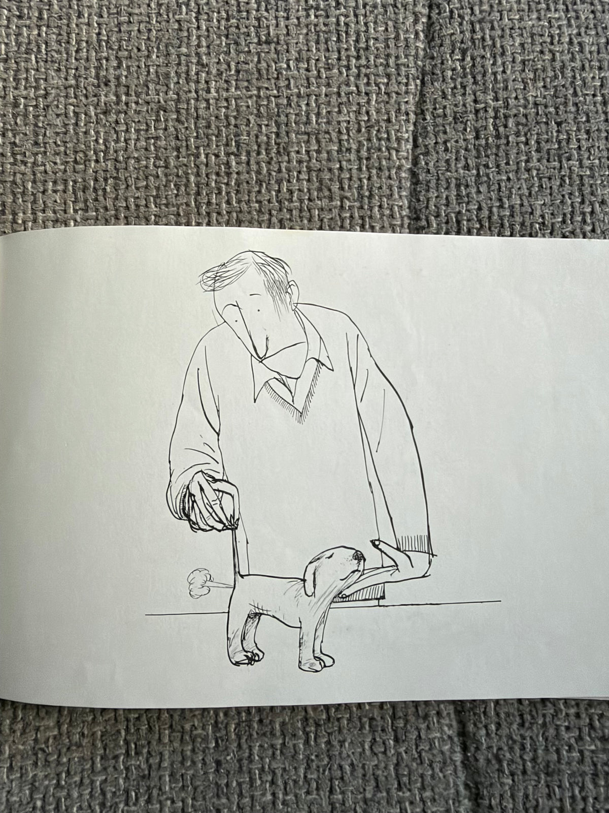 1982 A Leg In The Wind & Other Canine Curses - Ralph Steadman (Arrow Books)