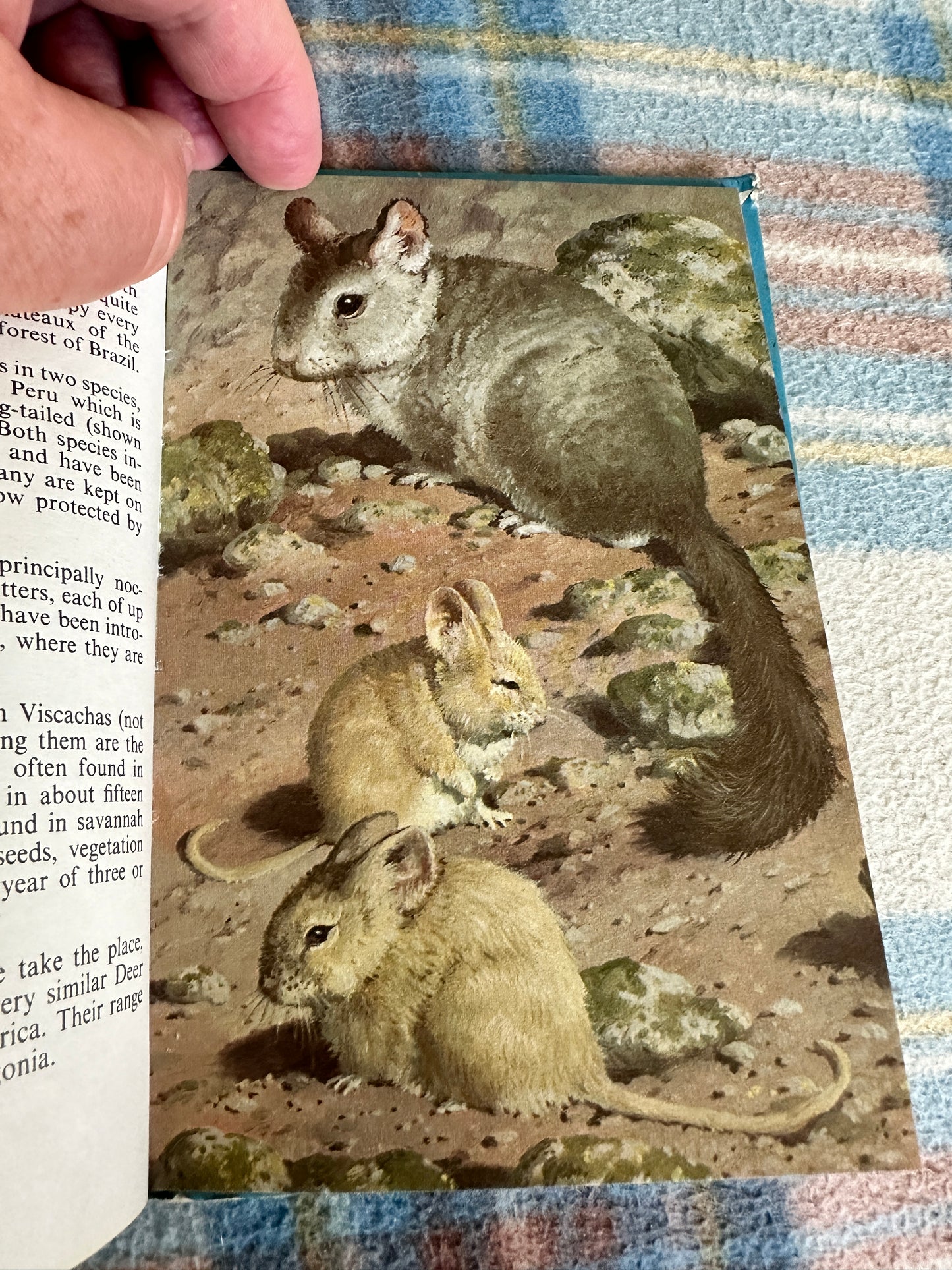 1972 South American Mammals(Series 691 Ladybird) John Leigh-Pemberton (Wills & Hepworth)