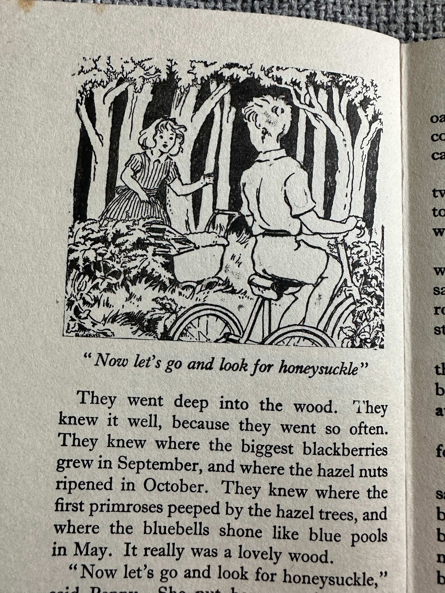 1960 The Very Big Secret - Enid Blyton (Ruth Gervis Illust) Lutterworth Press