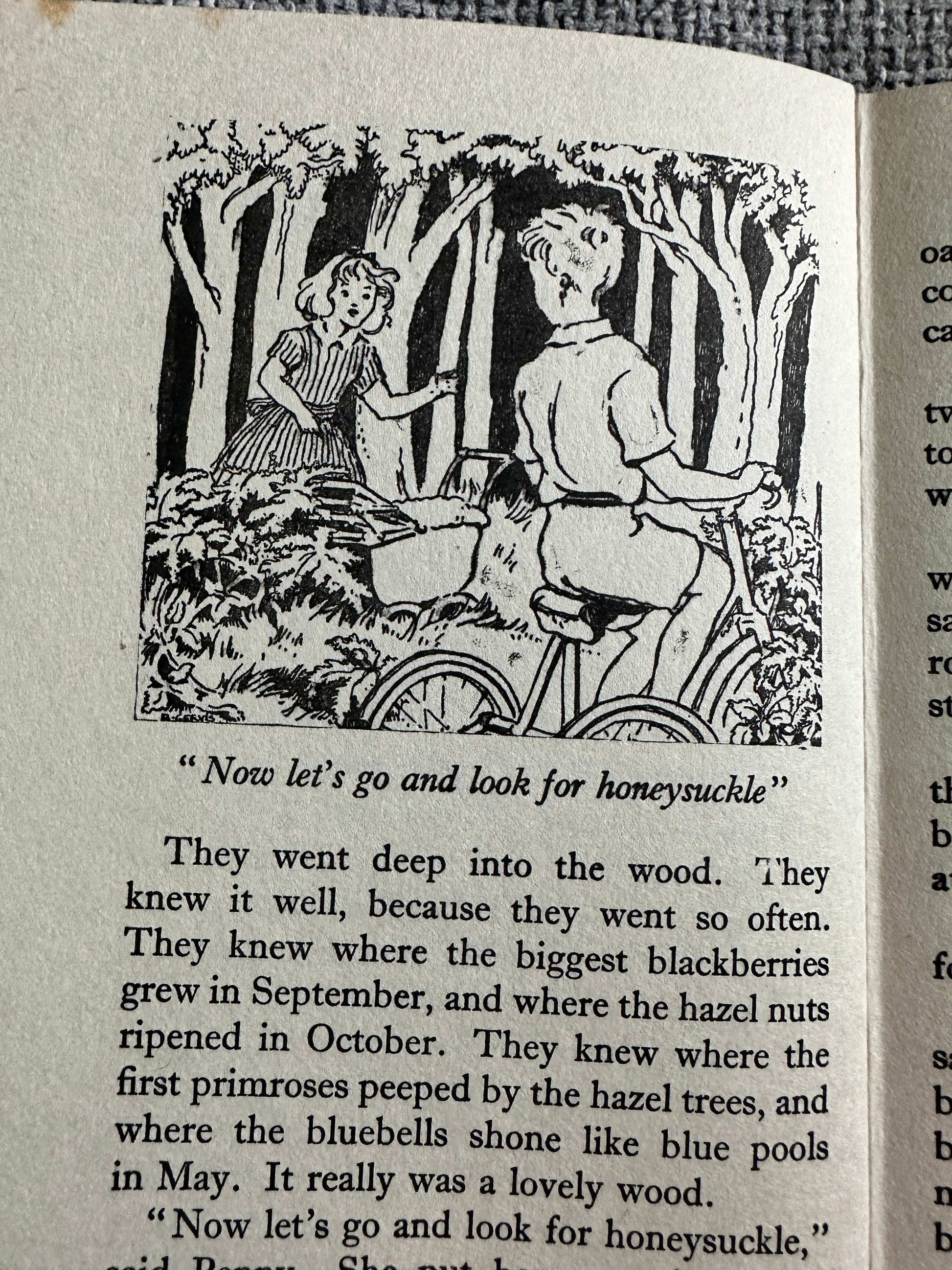 1960 The Very Big Secret - Enid Blyton (Ruth Gervis Illust) Lutterworth Press