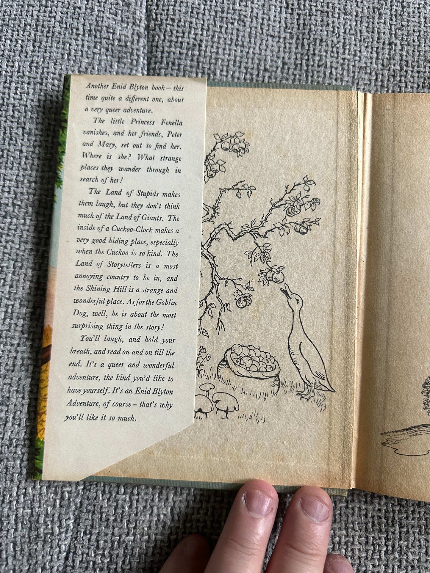 1952*1st* The Queer Adventure - Enid Blyton (Norman Meredith Illust) Staples Press