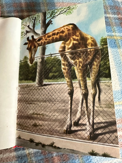 1960 The Zoo(Series 563 Ladybird) M. E. Gagg(Barry Driscoll Illust)Ladybird Books