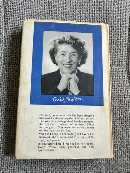 1957 Enid Blyton’s Sunny Story Book (Eileen Soper Illust) Brockhampton Press