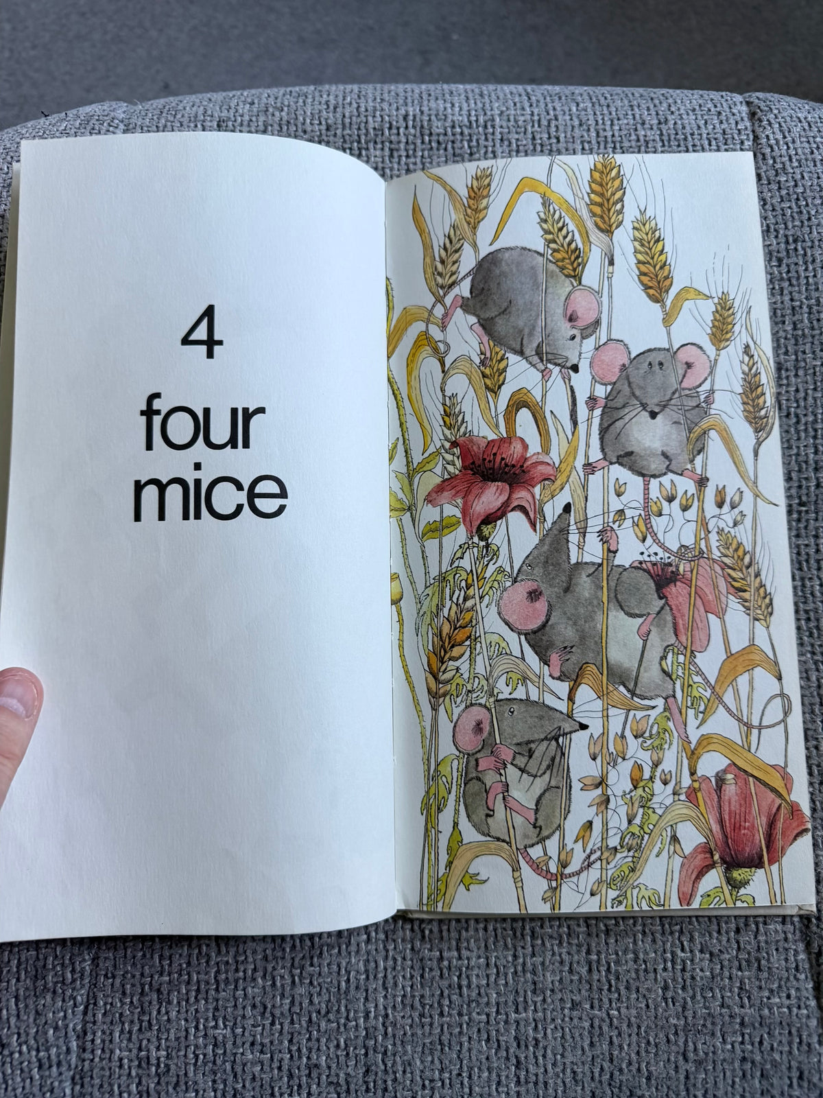 1970 Numbers Of Things - Helen Oxenbury (William Heinemann)