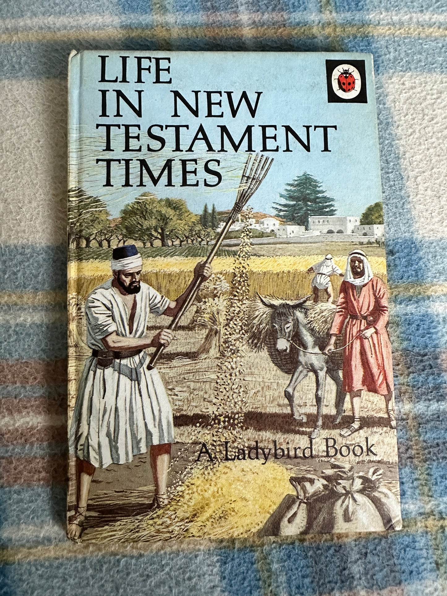 1969*1st* Life In New Testament Times(Series 649)Ralph Gower(Eric Winter Illust) Wills & Hepworth