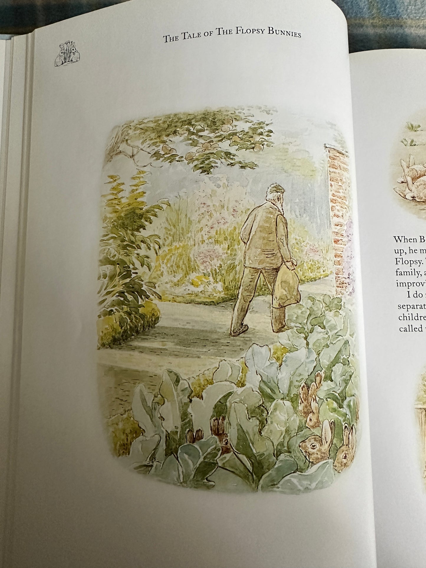 2003 The Complete Adventures Of Peter Rabbit - Beatrix Potter(Frederick Warne & Co Ltd)