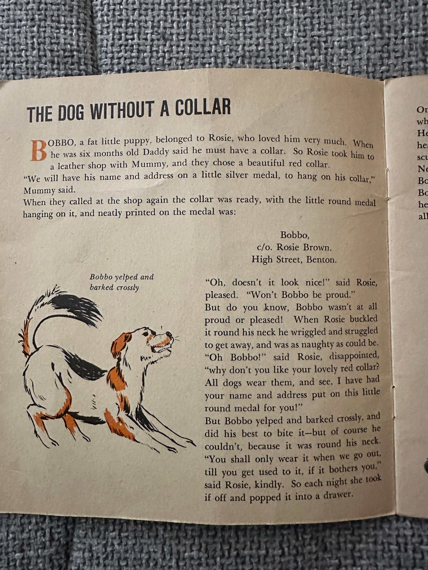1965 The Dog Without A Collar - Enid Blyton (Sunshine Picture Story Book) World Distributors