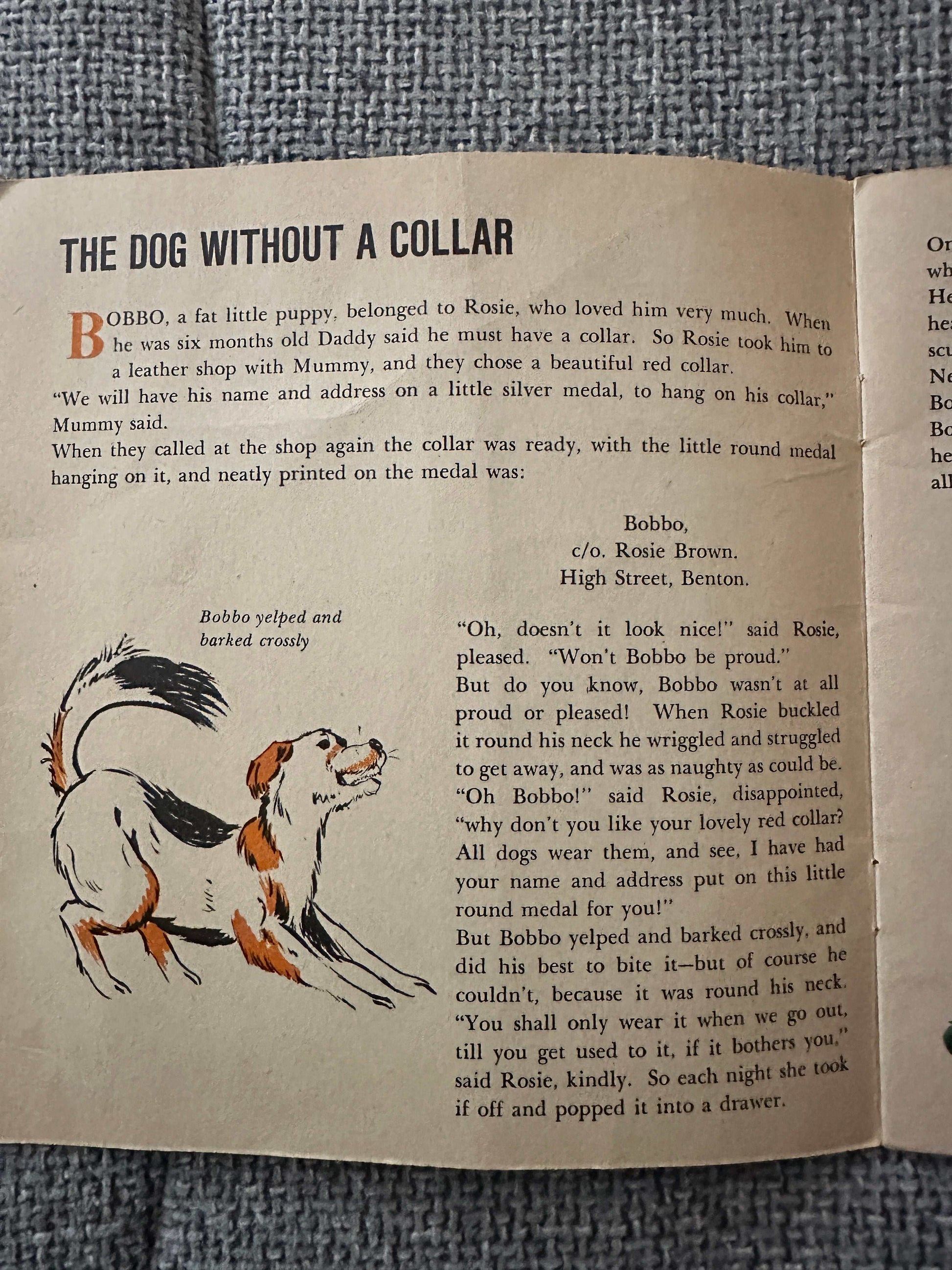 1965 The Dog Without A Collar - Enid Blyton (Sunshine Picture Story Book) World Distributors