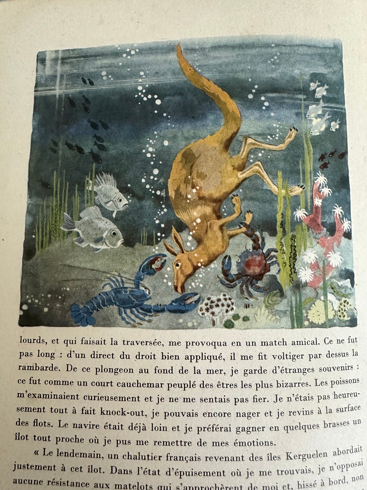 1938*1st* Nuit au Zoo(Night At Zoo) Henri Kubnick(illustrated by Jacques Liozu) Librairie Gründ Publish