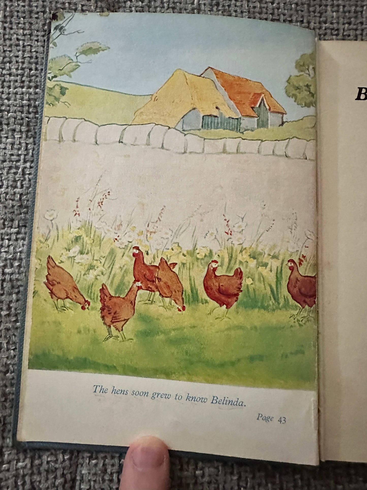 1956 The Buttercup Farm Family - Enid Blyton (Ruth Gervis Illust) Lutterworth Press