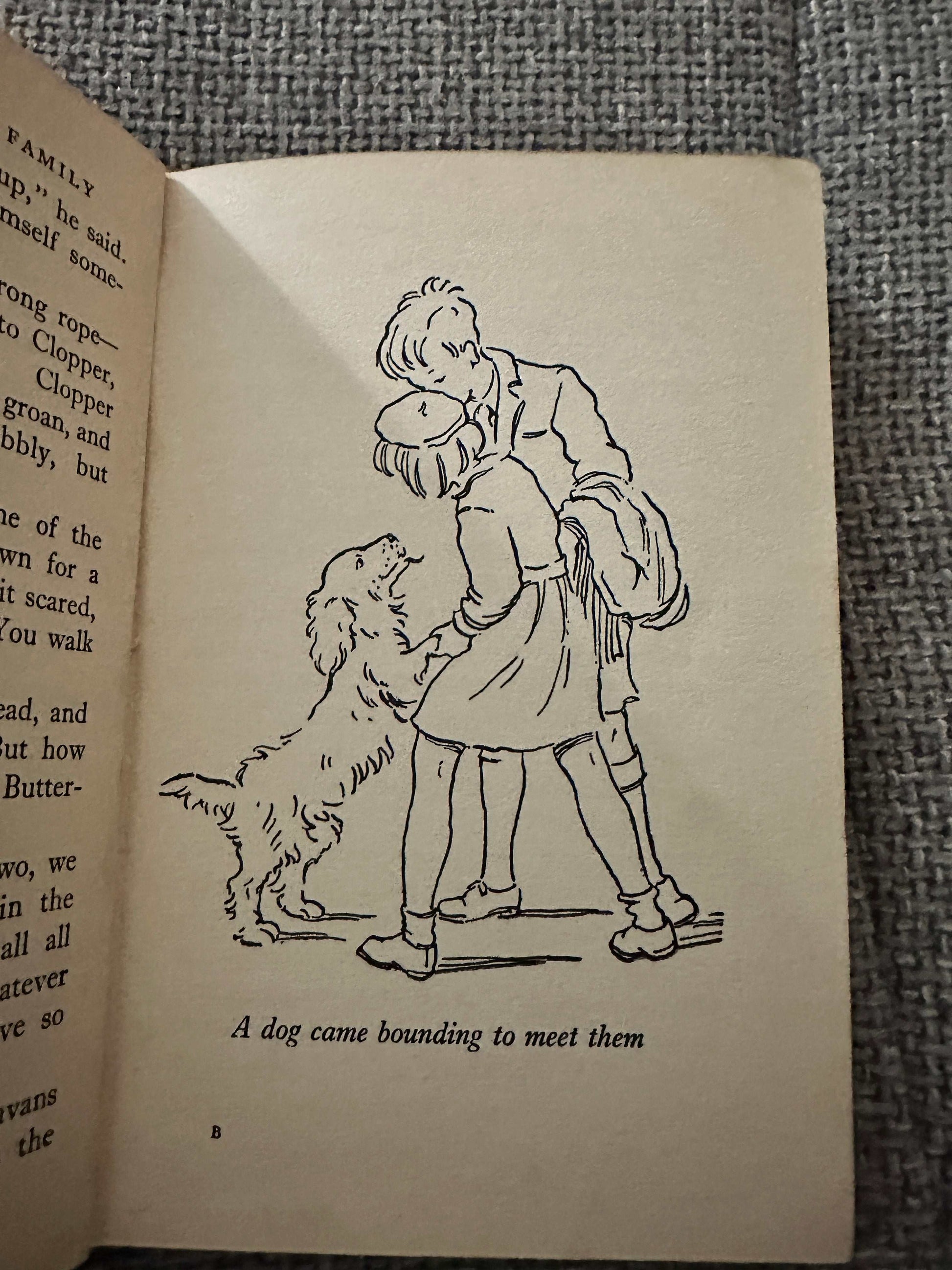 1956 The Buttercup Farm Family - Enid Blyton (Ruth Gervis Illust) Lutterworth Press