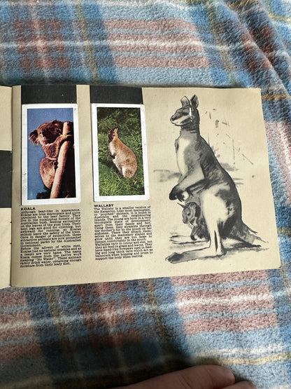 1960’s Safari - W. H. & F. J. Horniman & Co Ltd (Tea cards)