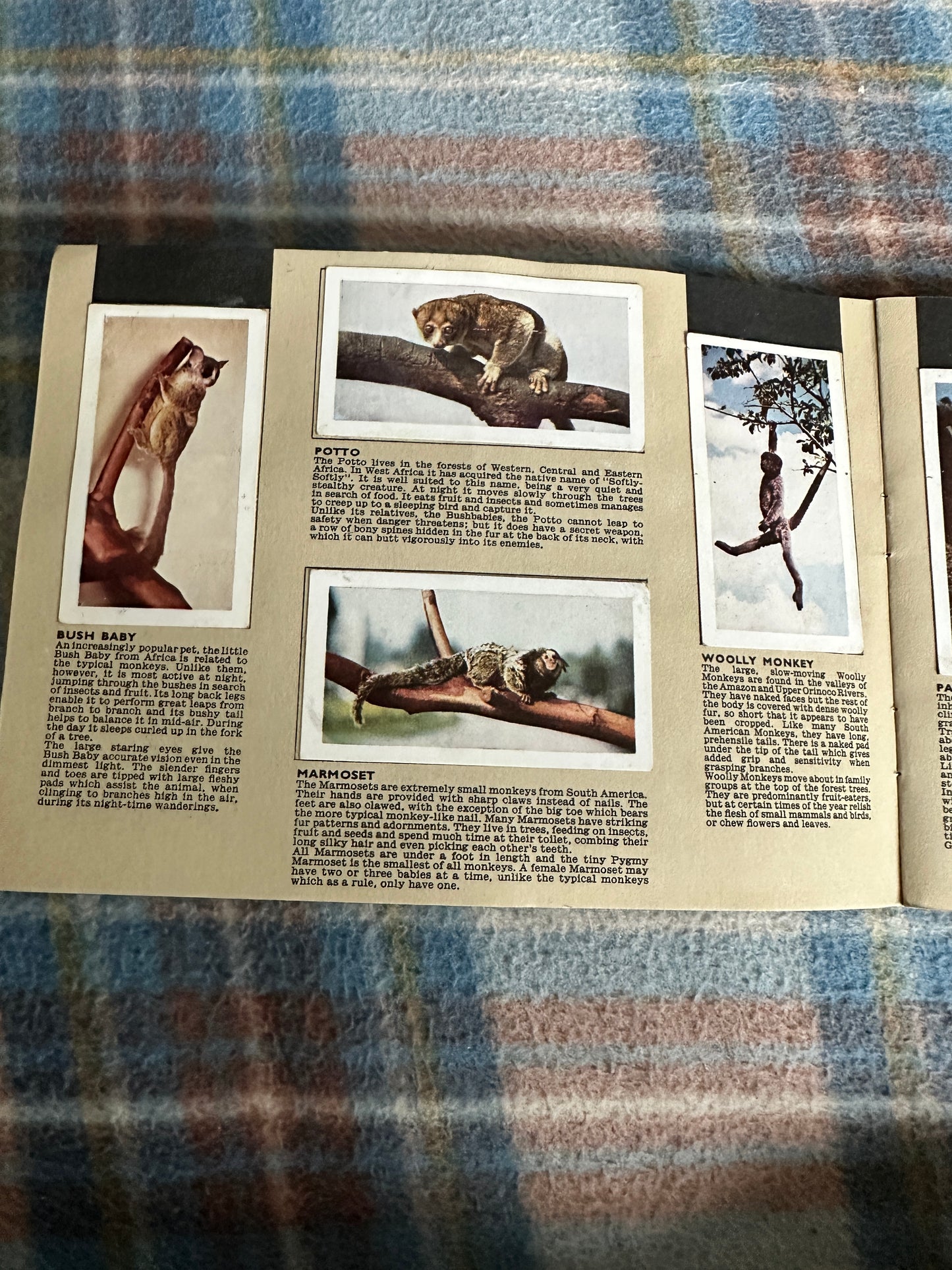 1960’s Safari - W. H. & F. J. Horniman & Co Ltd (Tea cards)