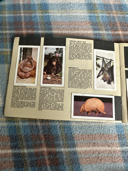 1960’s Safari - W. H. & F. J. Horniman & Co Ltd (Tea cards)