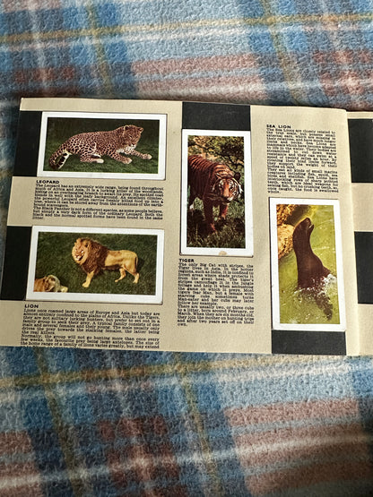 1960’s Safari - W. H. & F. J. Horniman & Co Ltd (Tea cards)