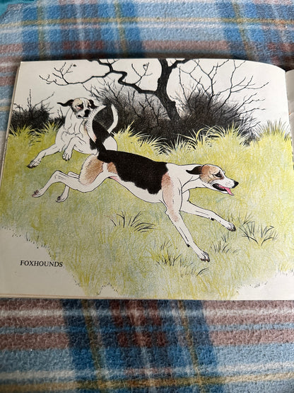 1940’s Dogs(Picture Puffin) Maurice Wilson