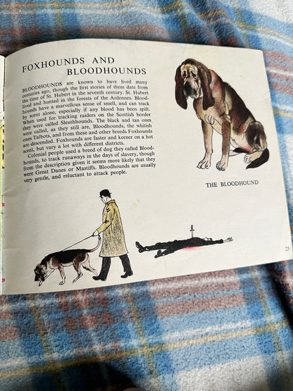 1940’s Dogs(Picture Puffin) Maurice Wilson