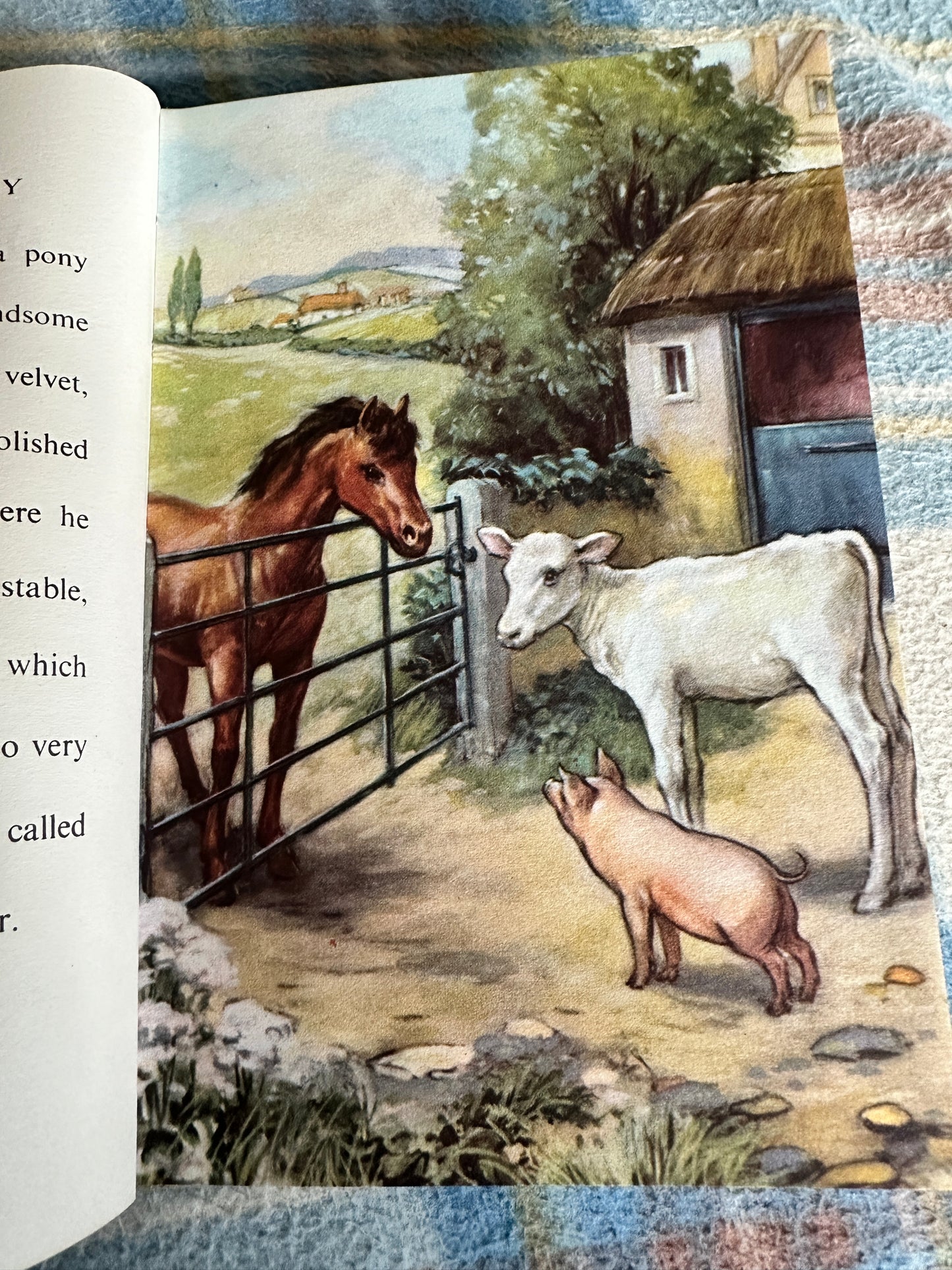 1958 The Discontented Pony(Series 497)Noel Barr(P. B. Hickling illustration)Wills & Hepworth