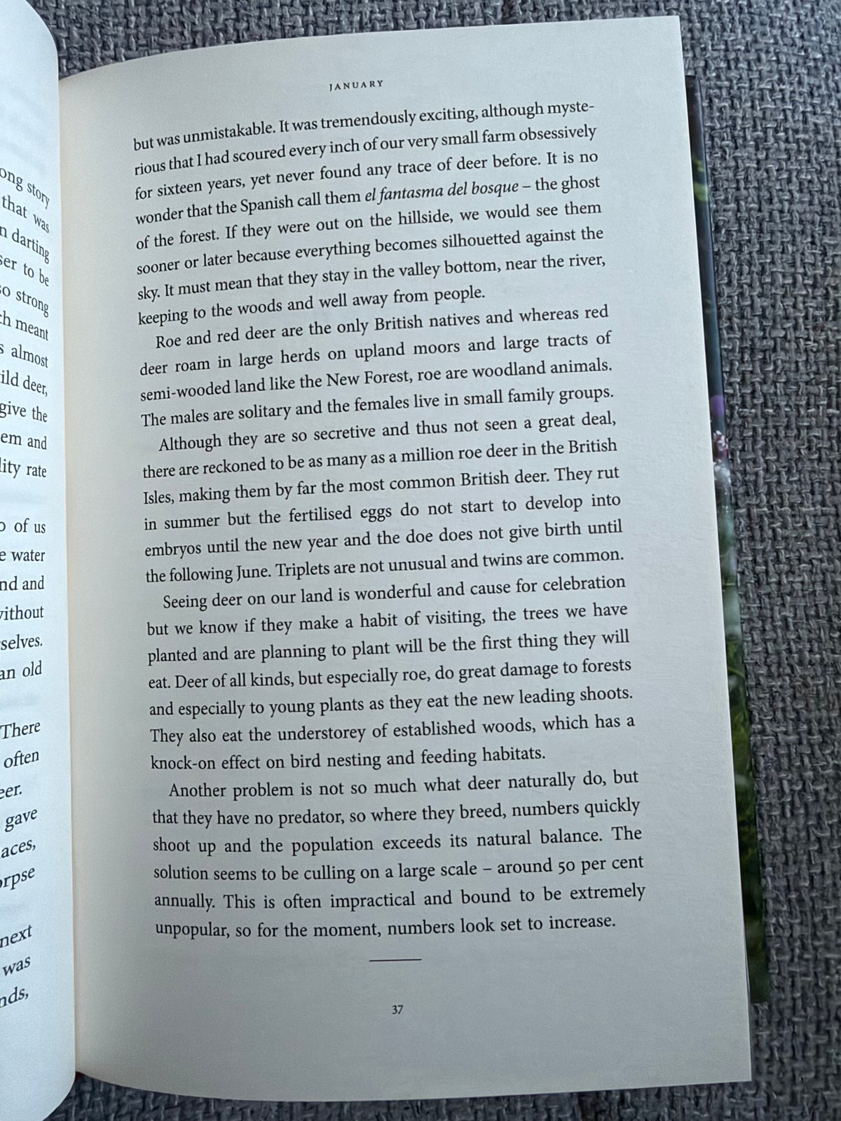 2020 My Garden World (The Natural Year) Monty Don (Two Roads Publishers)