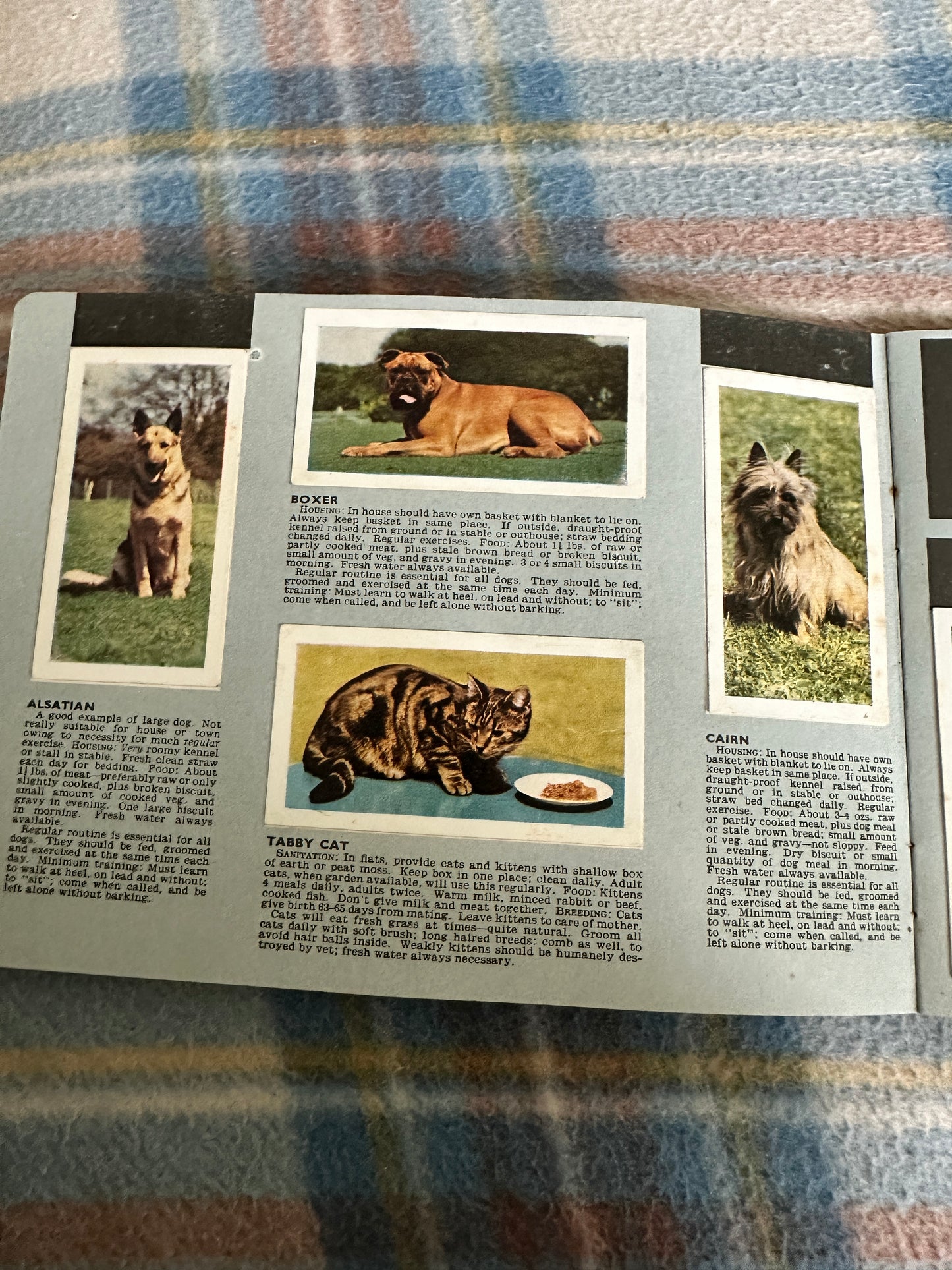 1940’s Pets Album(Tea Cards)Maxwell Knight(W. H. & F. J. Horniman & Co Ltd)one missing