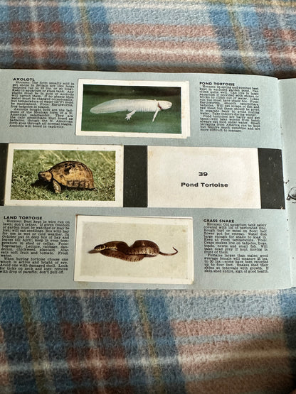 1940’s Pets Album(Tea Cards)Maxwell Knight(W. H. & F. J. Horniman & Co Ltd)one missing