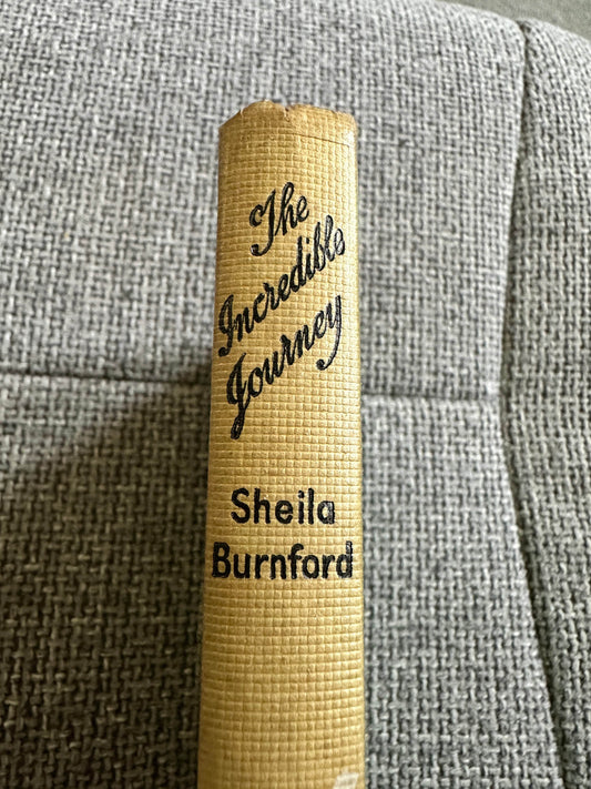 1961 The Incredible Journey - Sheila Burnford(Carl Burger Illust)The Book Club - Honeyburn Books (UK)