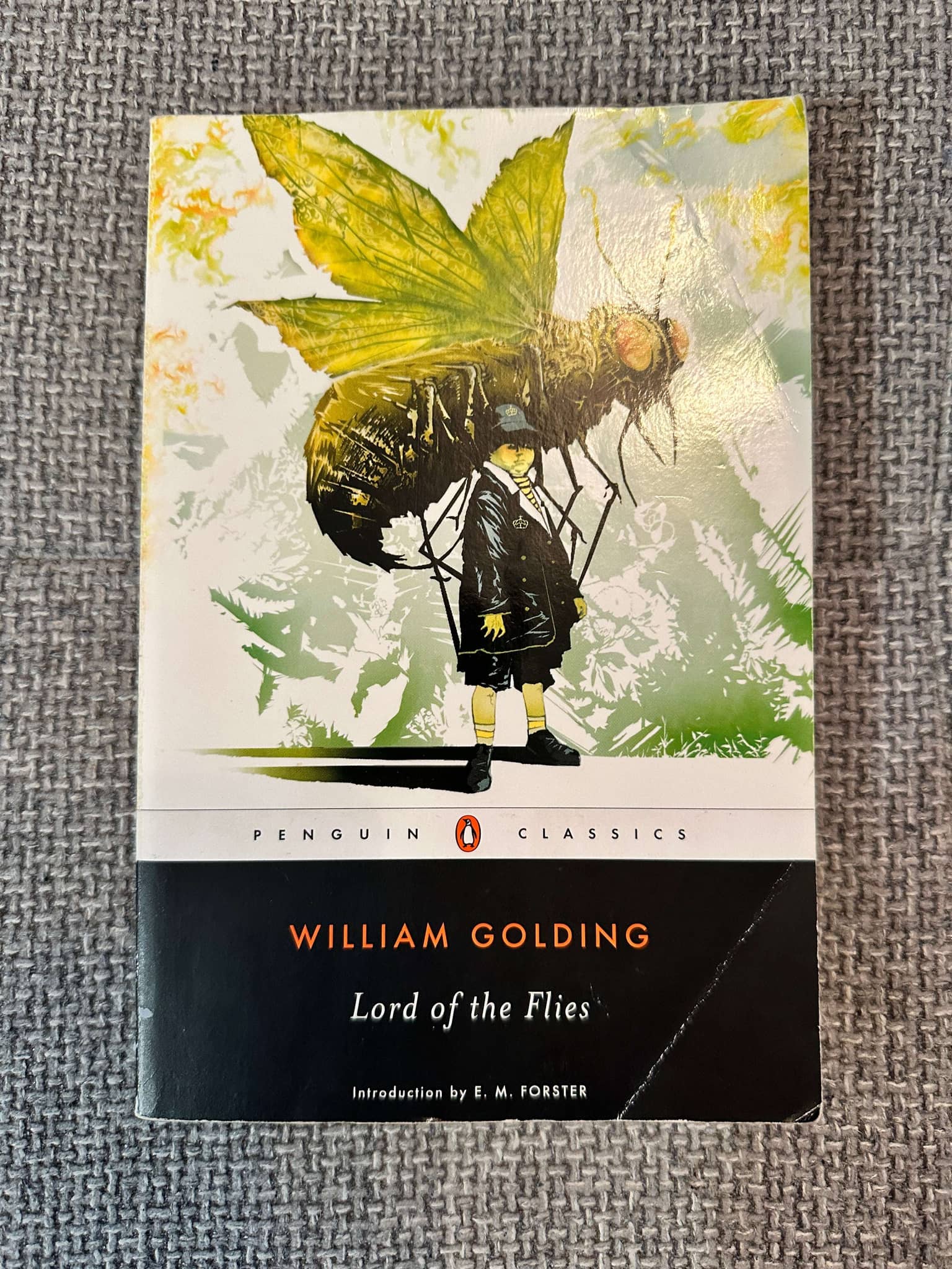 2006 Lord Of The Flies - William Golding (Penguin Classics)