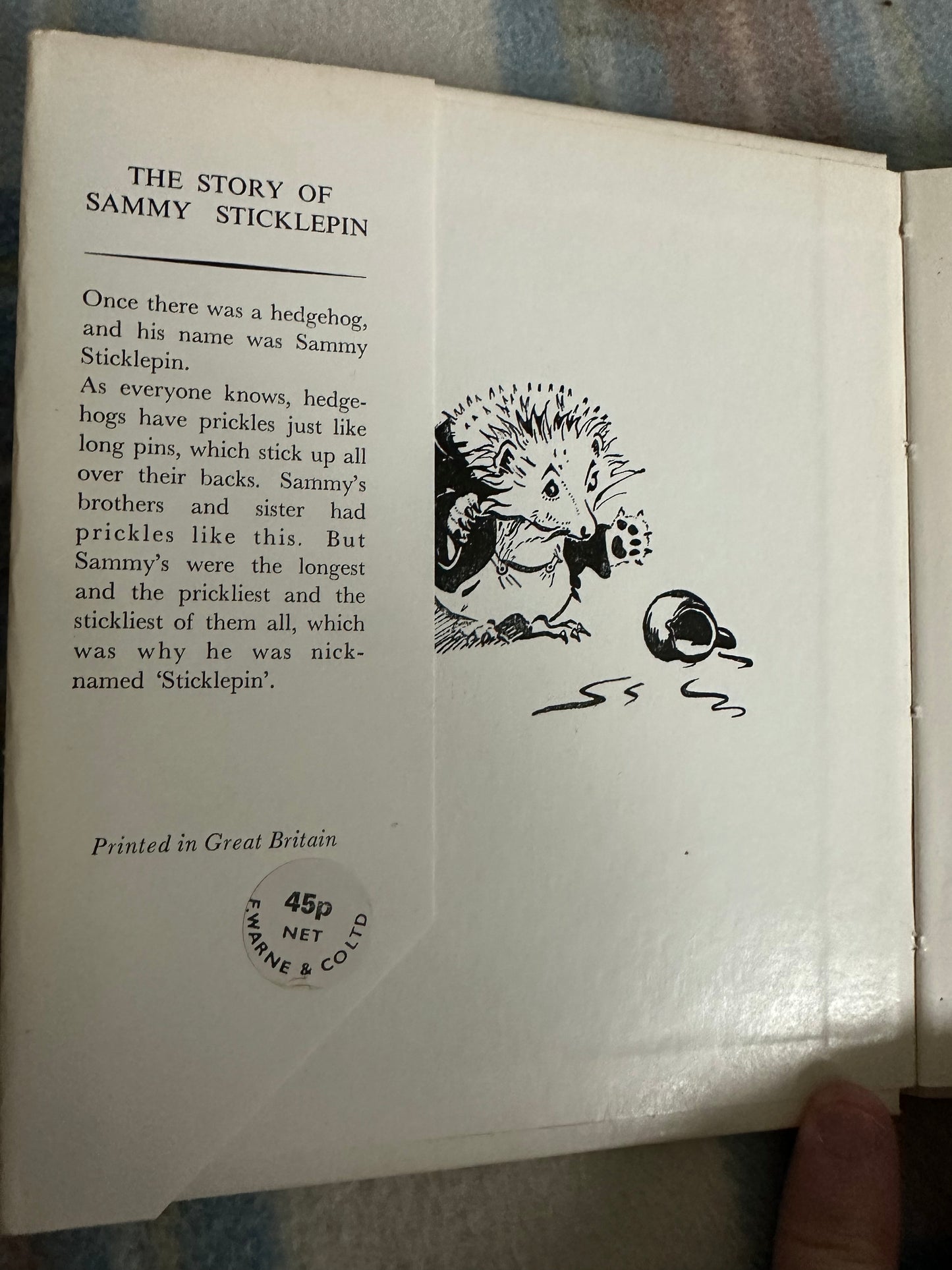 1975 The Story Of Sammy Sticklepin - Margaret Alleyne(Mary B. Robinson illustration) Frederick Warne & Co Ltd