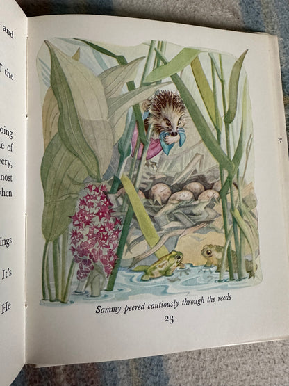 1975 The Story Of Sammy Sticklepin - Margaret Alleyne(Mary B. Robinson illustration) Frederick Warne & Co Ltd