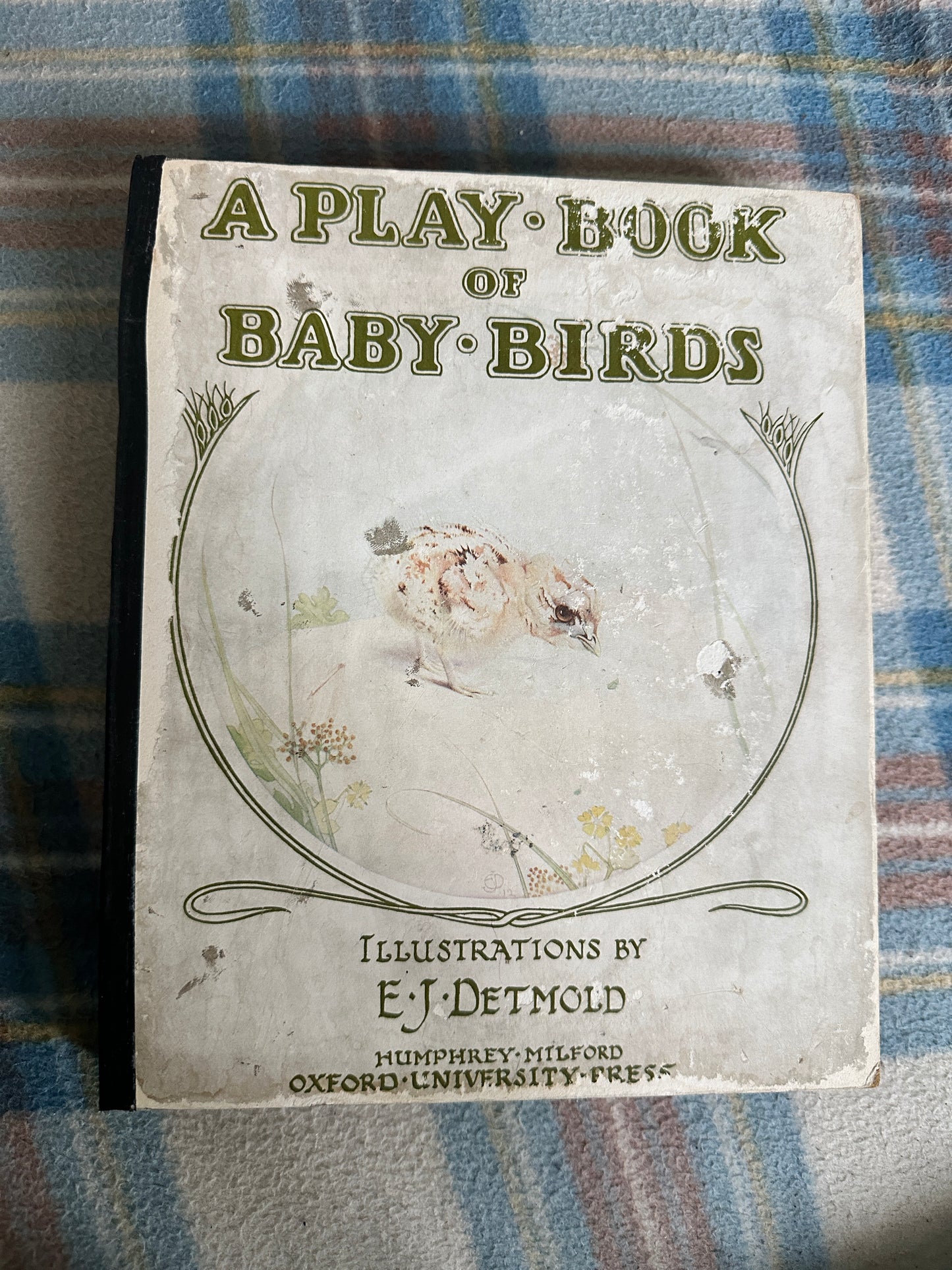 1920’s A Play Book Of Baby Birds - Detmold(Humphrey Milford Oxford University Press)