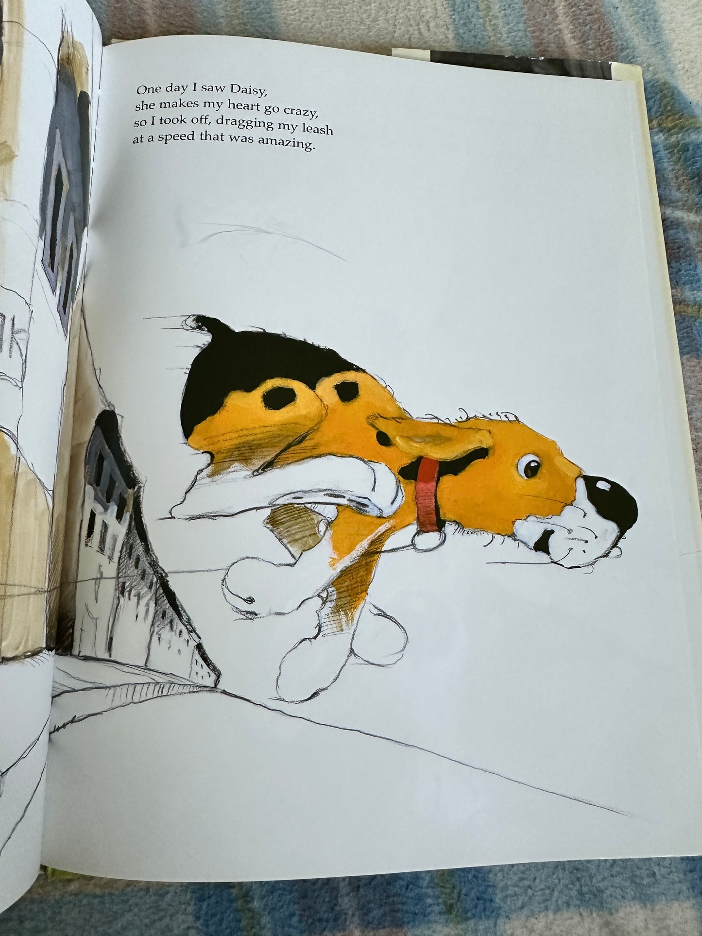 2005*1st* It’s A Dog’s Life - Paul Banks(Jakob Kirchmayr illustration) Minedition publishers